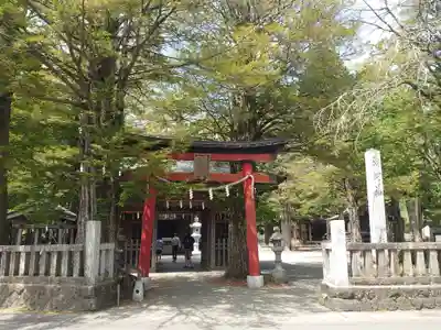 淺間神社（忍野八海）の鳥居
