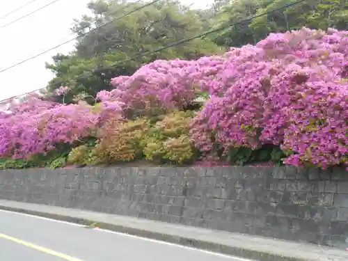 安養院　(田代寺）の周辺