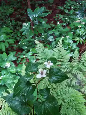 鹿島大神宮(福島県)