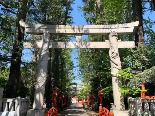 馬橋稲荷神社の鳥居