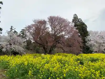 小鷹神社(千葉県)