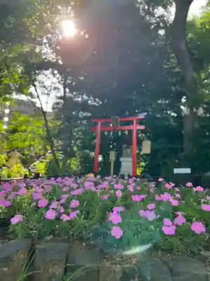 川越八幡宮(埼玉県)