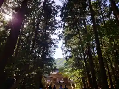彌彦神社(新潟県)