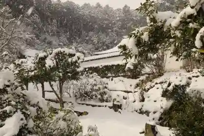 正伝護国禅寺(正伝寺･正傳寺)(京都府)