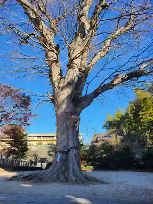 素鵞神社(茨城県)