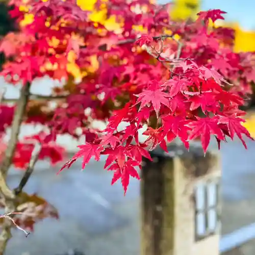 伊勢の国 四天王寺(三重県)