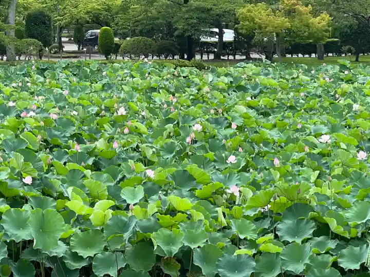 岩井八坂神社(茨城県)