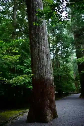瀧原宮(皇大神宮別宮)(三重県)
