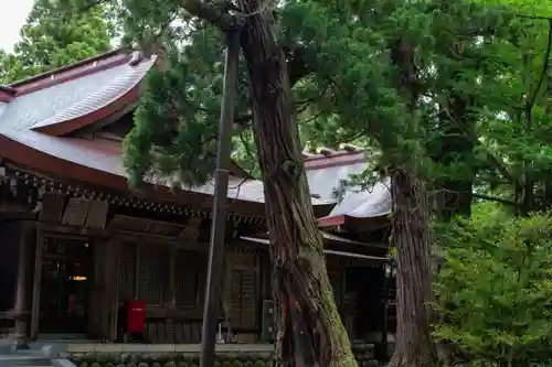 越中一宮 髙瀬神社(富山県)