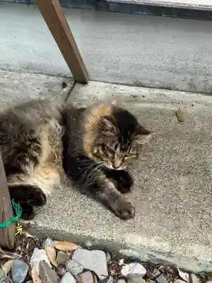 唐澤山神社(栃木県)