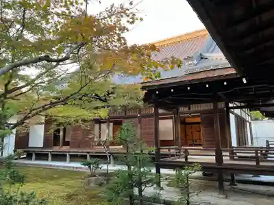 仁和寺(京都府)