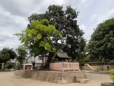 小森社(賀茂別雷神社末社)の景色