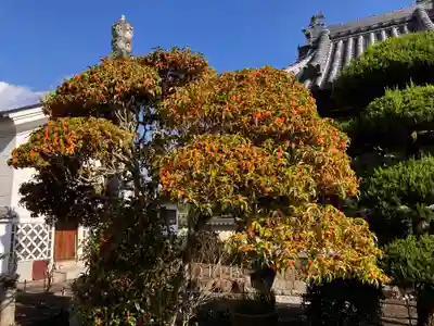 真言宗　善通寺派　薬王寺(香川県)