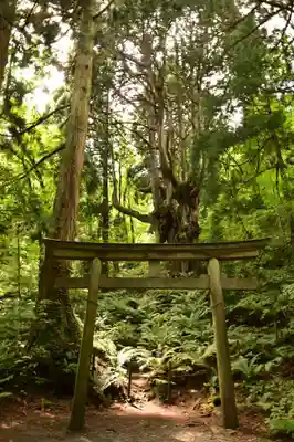白島神社(島根県)