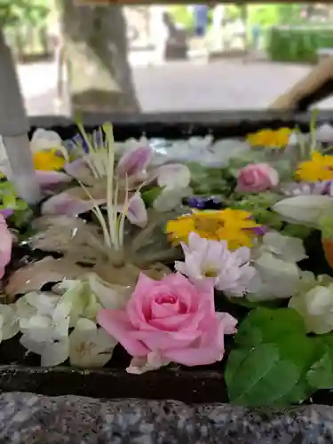 鳩森八幡神社の手水舎