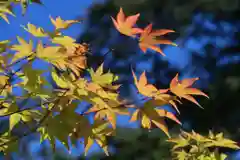 長屋神社の自然