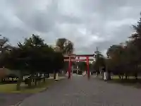 北海道護國神社の鳥居