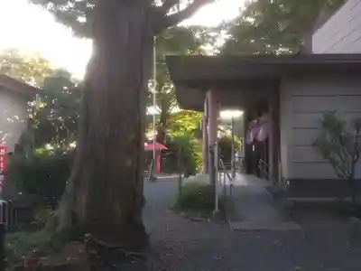 日野八坂神社のその他建物