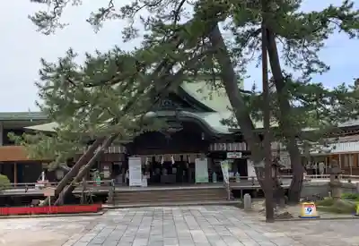 白山神社の本殿・本堂