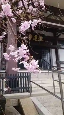 法蓮寺(東京都)