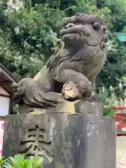 多摩川浅間神社の狛犬