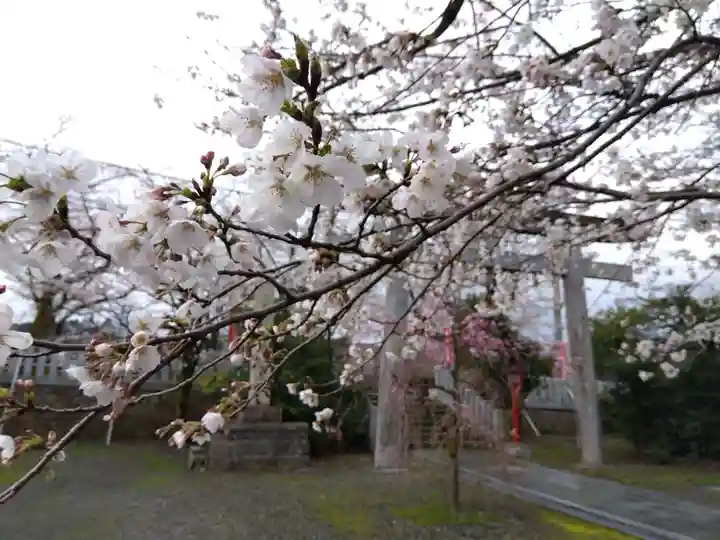 湊八幡神社(福井県)