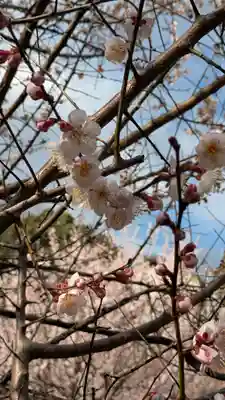  智積院(京都府)