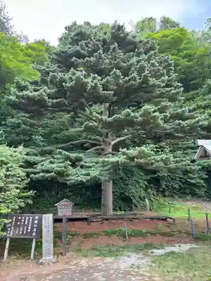 那須温泉神社(栃木県)