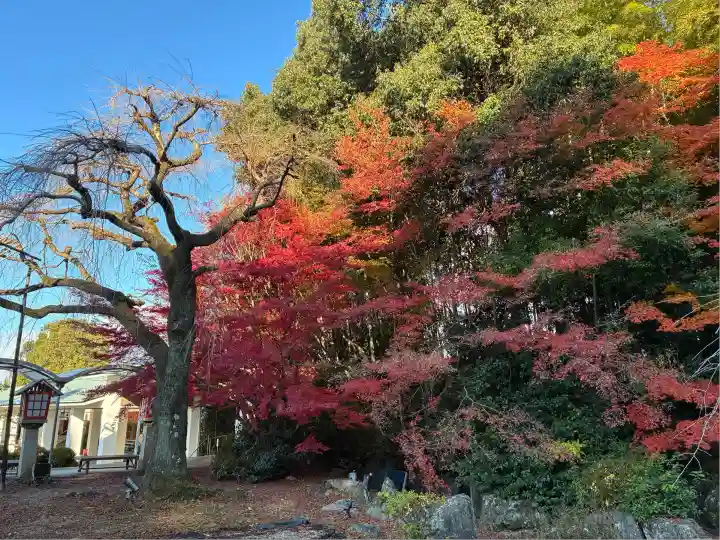 霊山観音(京都府)