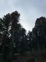 大宮温泉神社(栃木県)