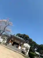 豊功神社の本殿・本堂