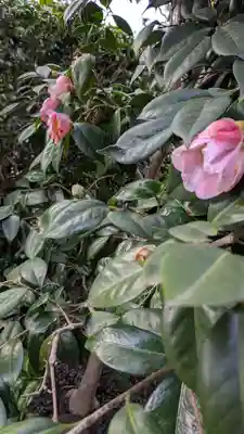 祐正寺(京都府)