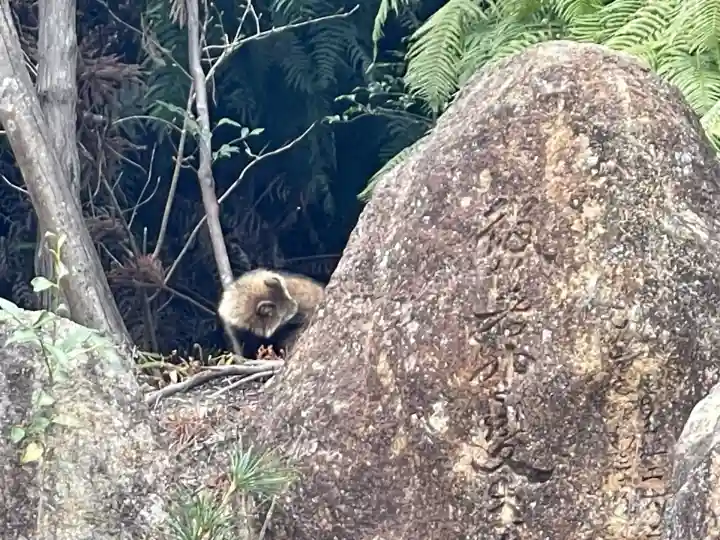 東光寺(出世不動明王)(滋賀県)