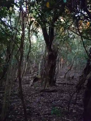 大元神社（宇佐神宮奥宮）(大分県)
