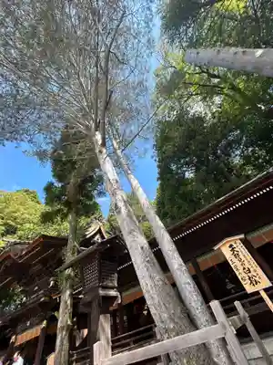 諏訪大社下社秋宮(長野県)