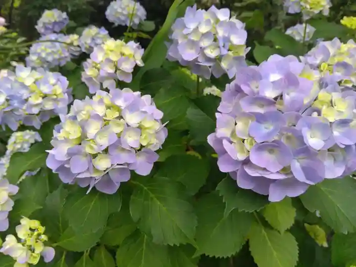 足羽神社(福井県)
