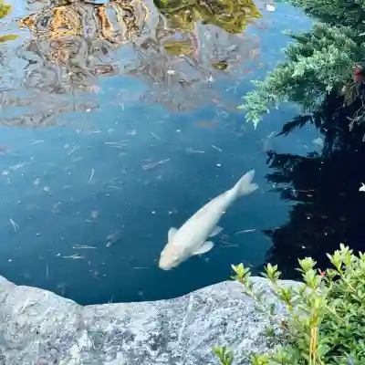 蓮花院(埼玉県)