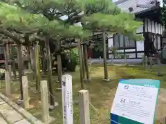 妙仙寺の建物その他