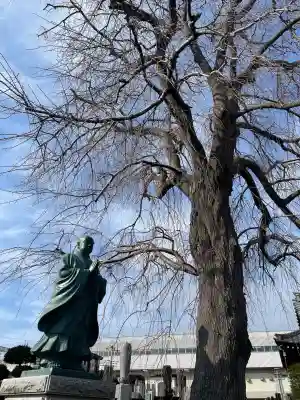 伝法寺(千葉県)