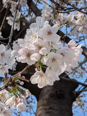 多田神社(東京都)