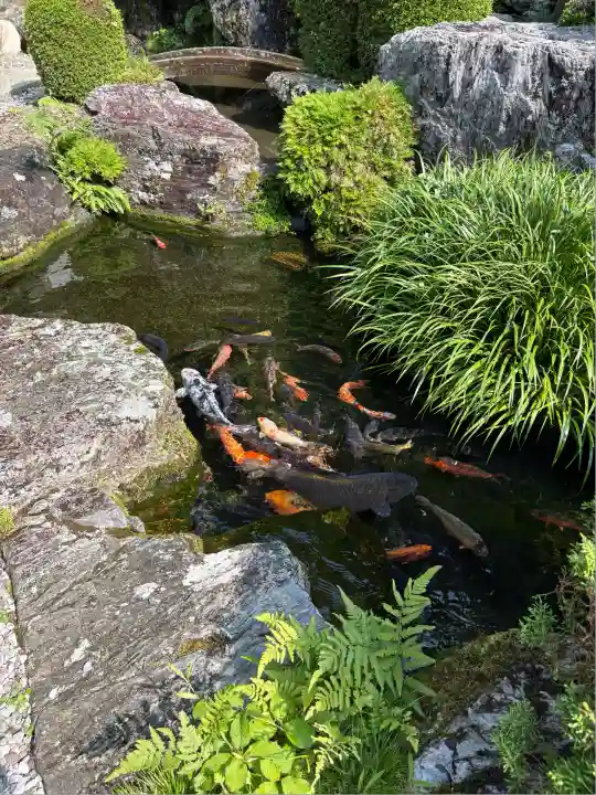 神峯寺(高知県)