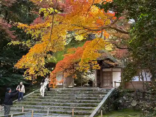 法然院(京都府)
