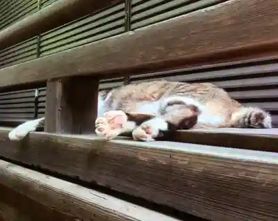荻窪白山神社(東京都)
