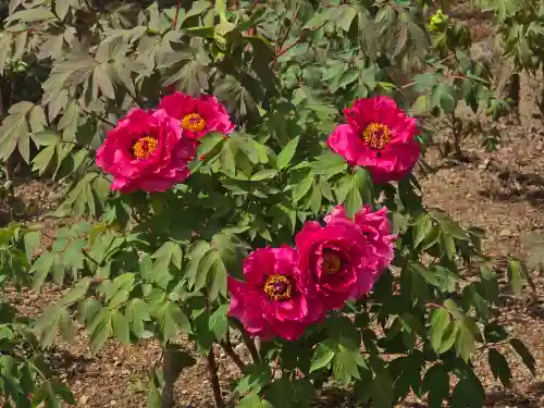 月輪院(奈良県)
