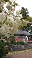 苗島神社の自然