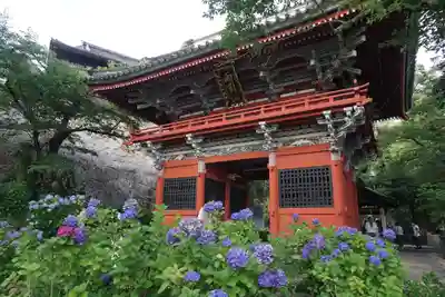 楽法寺(雨引観音)の山門・神門