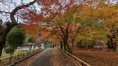 岩屋寺(京都府)