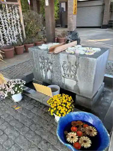 川越八幡宮(埼玉県)