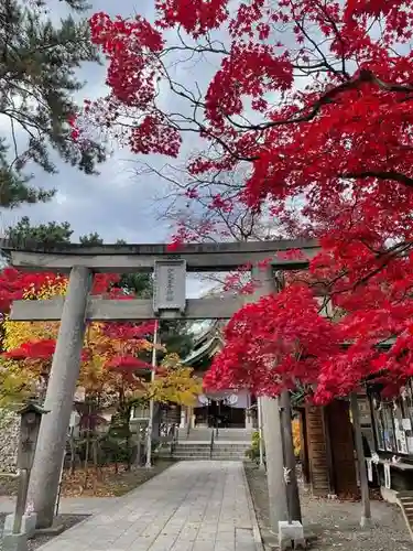 彌彦神社　(伊夜日子神社)の鳥居