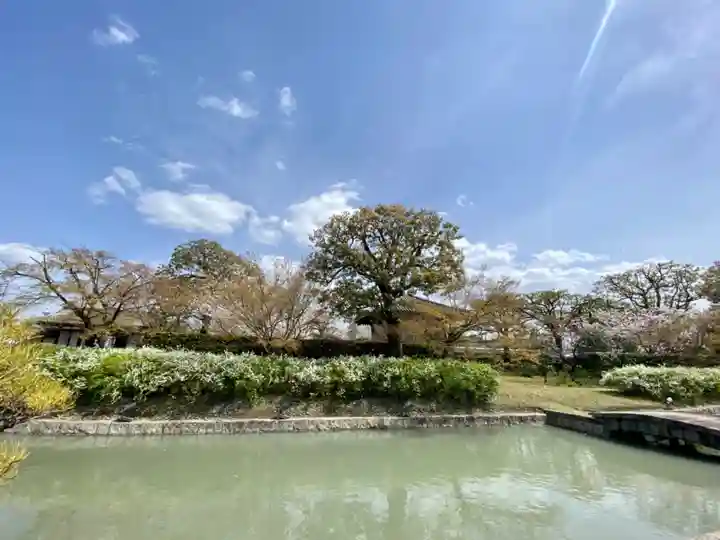 東寺(教王護国寺)(京都府)